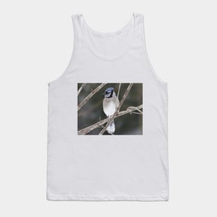 Bluejay on a Branch Tank Top